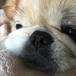 Meet your Posher, Christina